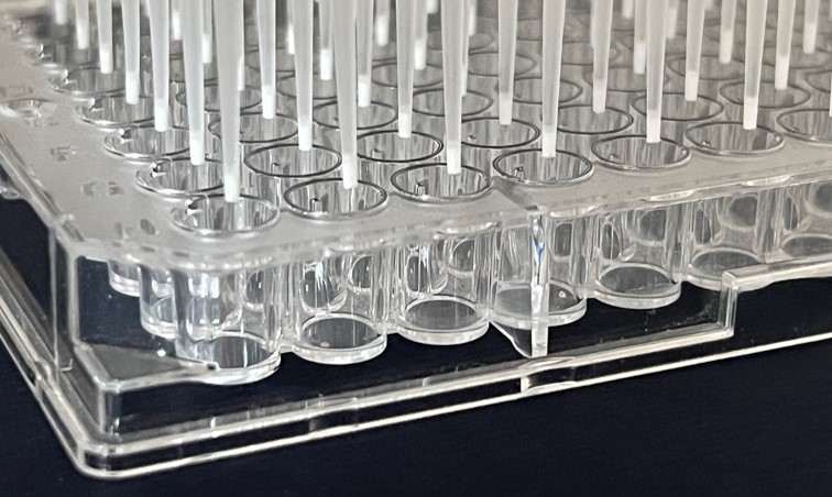 Exposure assessment in bioassays